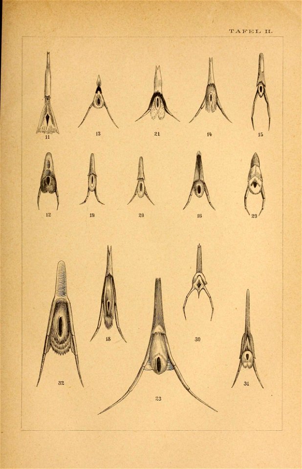 n376_w1150