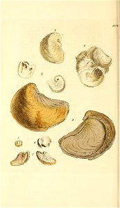 n441_w1150