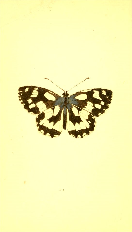 n35_w1150