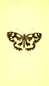n35_w1150