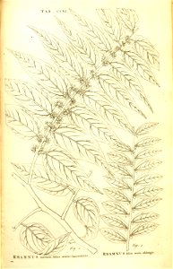 n160_w1150