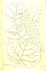 n35_w1150