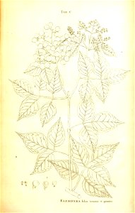 n190_w1150