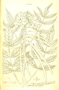 n103_w1150