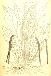 n71_w1150