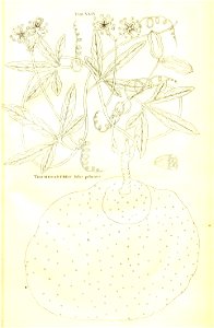 n43_w1150