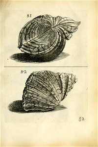 n363_w1150