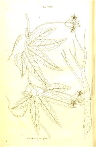 n40_w1150