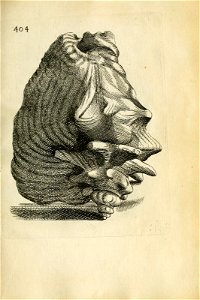 n571_w1150