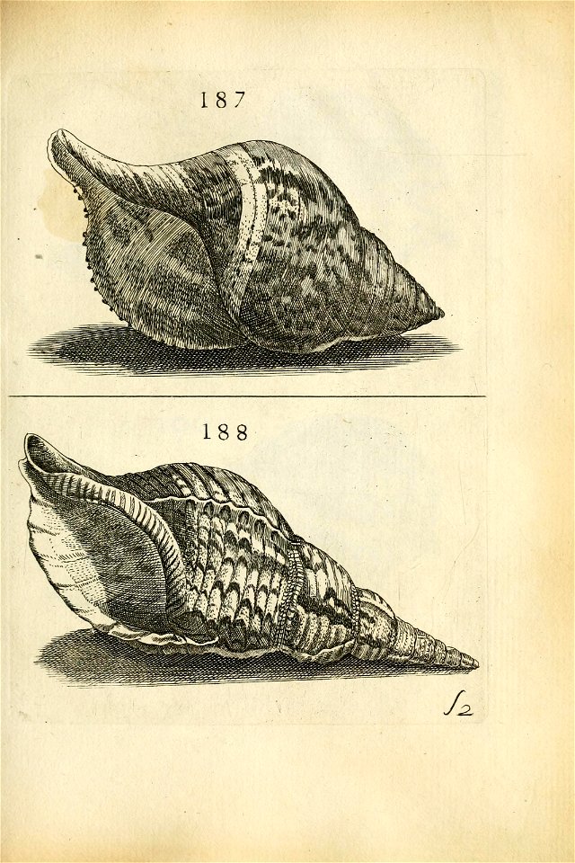 n451_w1150