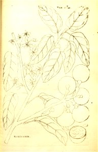 n155_w1150