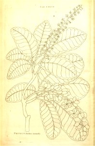 n249_w1150