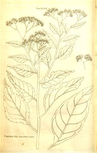 n185_w1150