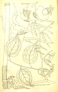 n158_w1150