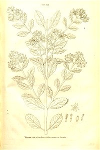 n101_w1150