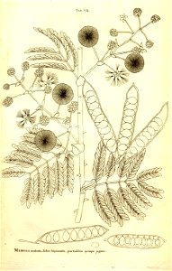 n16_w1150