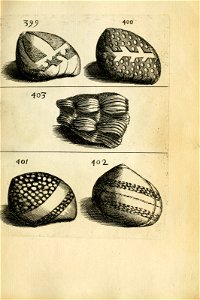 n569_w1150