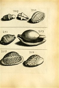 n479_w1150