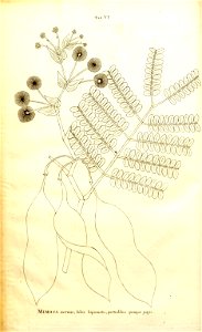 n13_w1150