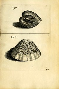 n567_w1150