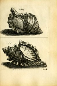 n507_w1150