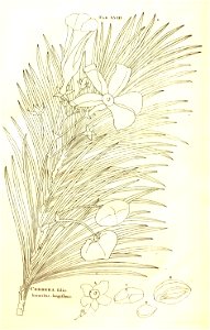 n35_w1150