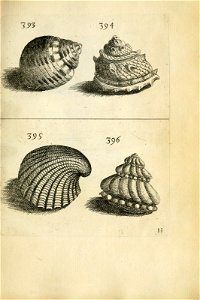 n565_w1150