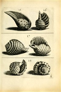 n385_w1150