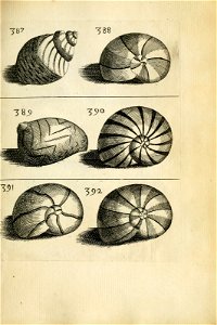 n563_w1150