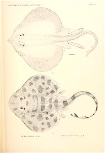 n694_w1150