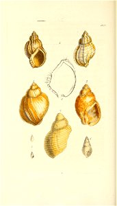 n309_w1150