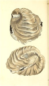 n139_w1150