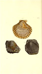n301_w1150