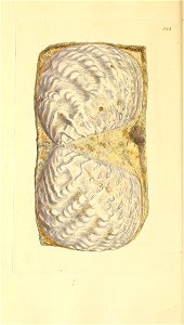 n179_w1150