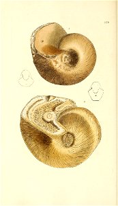 n121_w1150