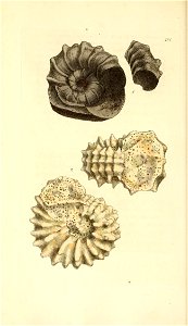 n59_w1150