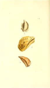 n129_w1150