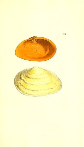 n216_w1150
