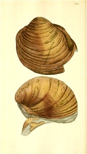 n103_w1150