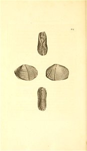 n431_w1150