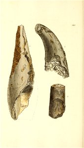 n353_w1150