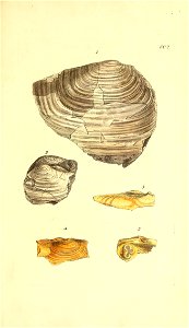 n428_w1150