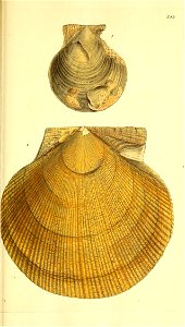 n172_w1150
