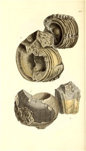 n291_w1150