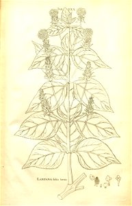 n133_w1150
