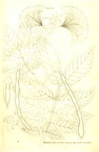 n44_w1150