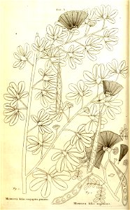 n19_w1150