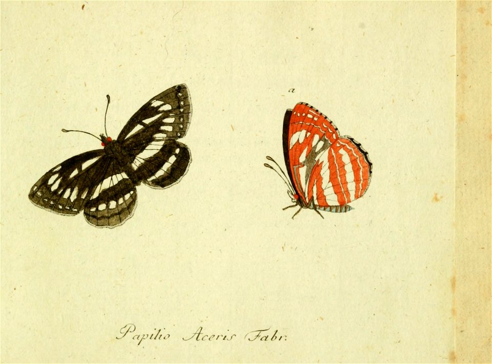 n696_w1150