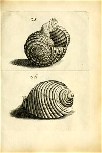 n389_w1150