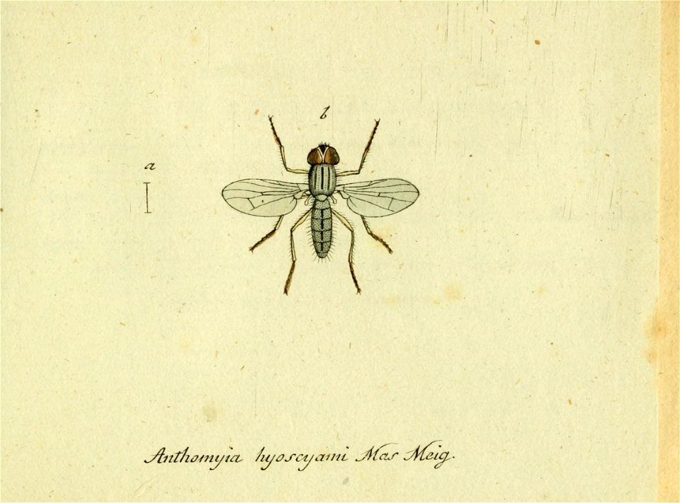 n556_w1150